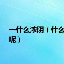一什么浓阴（什么浓阴呢）