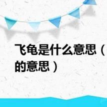 飞龟是什么意思（飞龟的意思）