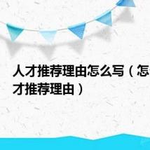 人才推荐理由怎么写（怎么写人才推荐理由）