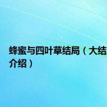 蜂蜜与四叶草结局(大结局剧情介绍)