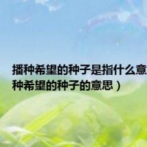 播种希望的种子是指什么意思(播种希望的种子的意思)