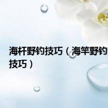 海杆野钓技巧(海竿野钓的钓鱼技巧)