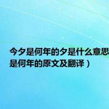 今夕是何年的夕是什么意思（今夕是何年的原文及翻译）