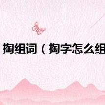 掏组词（掏字怎么组词）