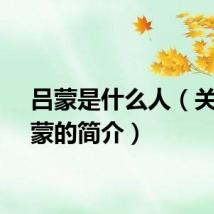 吕蒙是什么人（关于吕蒙的简介）