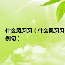 什么风习习（什么风习习解释及例句）