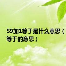 59加1等于是什么意思(59加1等于的意思)