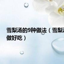 雪梨汤的9种做法（雪梨汤怎么做好吃）