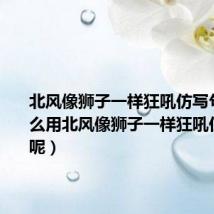 北风像狮子一样狂吼仿写句子（怎么用北风像狮子一样狂吼仿写句子呢）