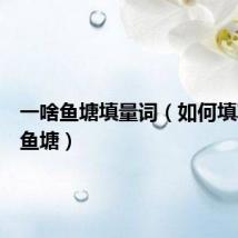 一啥鱼塘填量词（如何填写一啥鱼塘）