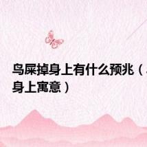 鸟屎掉身上有什么预兆(鸟屎掉身上寓意)