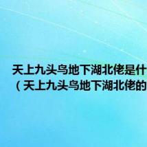 天上九头鸟地下湖北佬是什么意思(天上九头鸟地下湖北佬的意思)