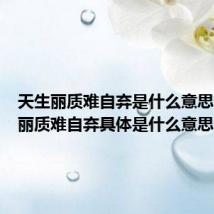 天生丽质难自弃是什么意思(天生丽质难自弃具体是什么意思)