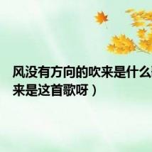 风没有方向的吹来是什么歌（原来是这首歌呀）