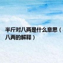 半斤对八两是什么意思（半斤对八两的解释）