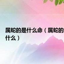 属蛇的是什么命（属蛇的命运是什么）