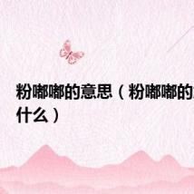 粉嘟嘟的意思（粉嘟嘟的意思是什么）