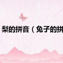 梨的拼音（兔子的拼音）
