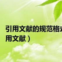 引用文献的规范格式（引用文献）