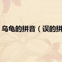 乌龟的拼音（误的拼音）