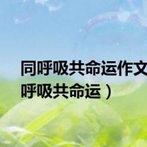 同呼吸共命运作文（同呼吸共命运）