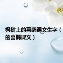枫树上的喜鹊课文生字（枫树上的喜鹊课文）