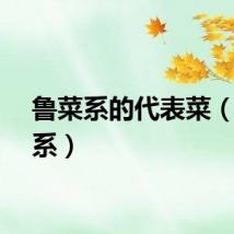 鲁菜系的代表菜（鲁菜系）