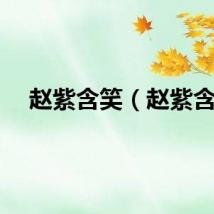 赵紫含笑（赵紫含）