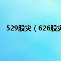529股灾（626股灾）