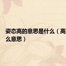 姿态高的意思是什么(高姿态什么意思)