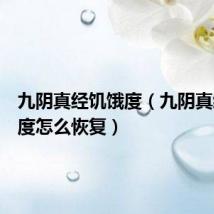 九阴真经饥饿度(九阴真经饱食度怎么恢复)