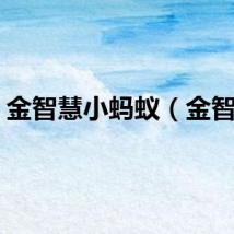 金智慧小蚂蚁（金智慧）