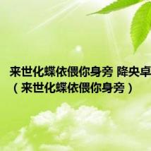 来世化蝶依偎你身旁 降央卓玛 歌词（来世化蝶依偎你身旁）