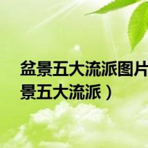盆景五大流派图片（盆景五大流派）