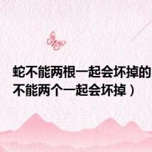蛇不能两根一起会坏掉的（蛇王不能两个一起会坏掉）