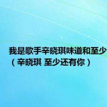 我是歌手辛晓琪味道和至少还有你（辛晓琪 至少还有你）