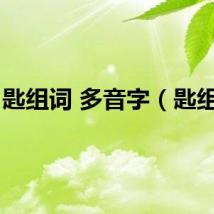 匙组词 多音字（匙组词）