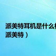 派美特耳机是什么档次（派美特）