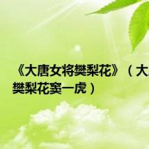 《大唐女将樊梨花》（大唐女将樊梨花窦一虎）