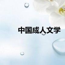 中国成人文学