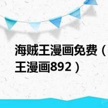 海贼王漫画免费（海贼王漫画892）