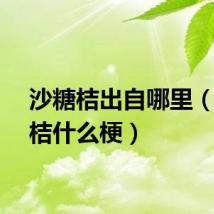 沙糖桔出自哪里（沙糖桔什么梗）