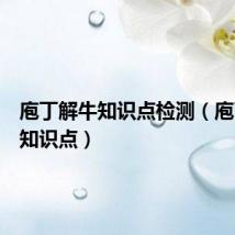 庖丁解牛知识点检测（庖丁解牛知识点）