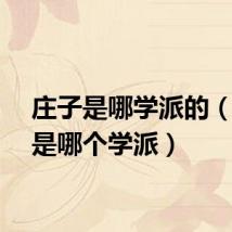 庄子是哪学派的（庄子是哪个学派）