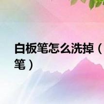 白板笔怎么洗掉（白板笔）