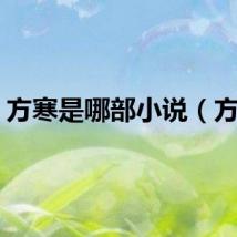 方寒是哪部小说（方寒）