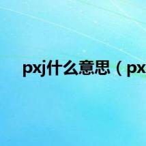 pxj什么意思（px）