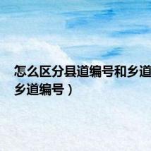 怎么区分县道编号和乡道编号（乡道编号）