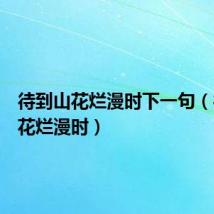 待到山花烂漫时下一句（待到山花烂漫时）