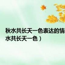 秋水共长天一色表达的情感(秋水共长天一色)